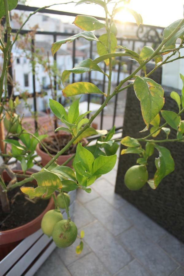Dimore De La Rosa 팔레르모 외부 사진